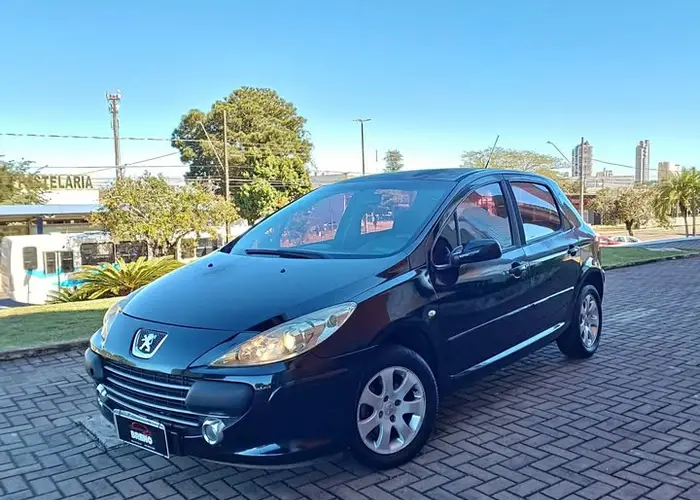 Peugeot 307 2008 1.6