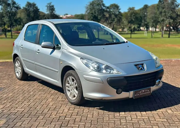 Peugeot 307 2008 Feline 2.0