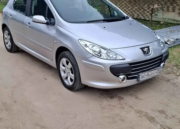 Peugeot 307 2010 1.6