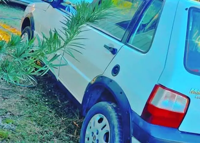 Fiat Uno 2008 1.0