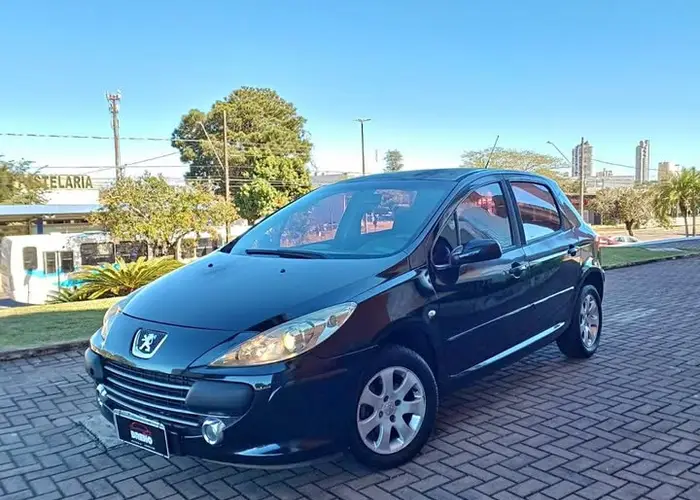 Peugeot 307 2008 1.6