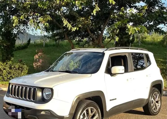 Jeep Renegade 2019 2.0