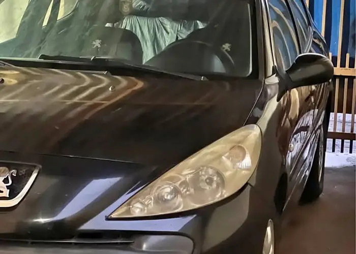 Peugeot 207 2010 1.4