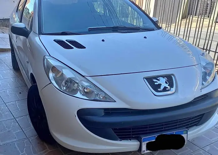 Peugeot Passion 2011 1.4 Flex