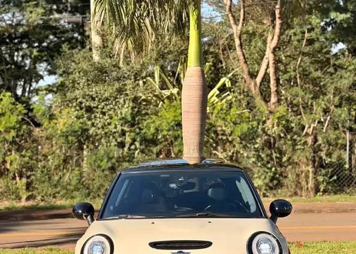 Bmw Mini 2016 Cooper 2.0